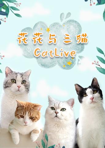 花花与三猫catlive20191025期